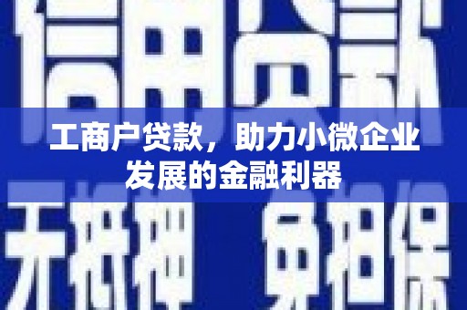 泰山工商户贷款，助力小微企业发展的金融利器