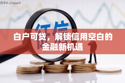 泰山白户可贷，解锁信用空白的金融新机遇