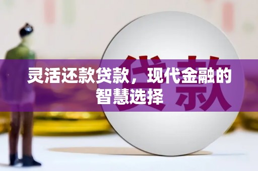 泰山灵活还款贷款，现代金融的智慧选择
