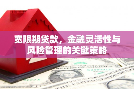 泰山宽限期贷款，金融灵活性与风险管理的关键策略