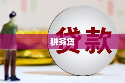 泰山税务贷