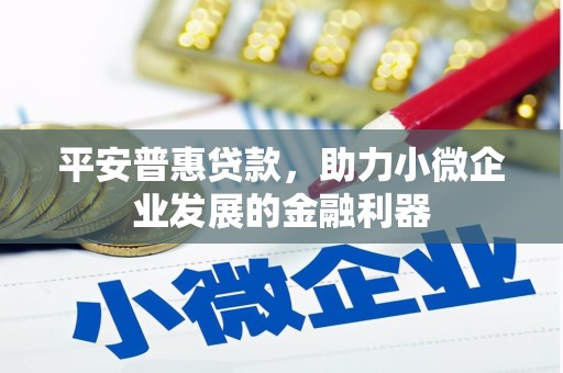 泰山平安普惠贷款，助力小微企业发展的金融利器