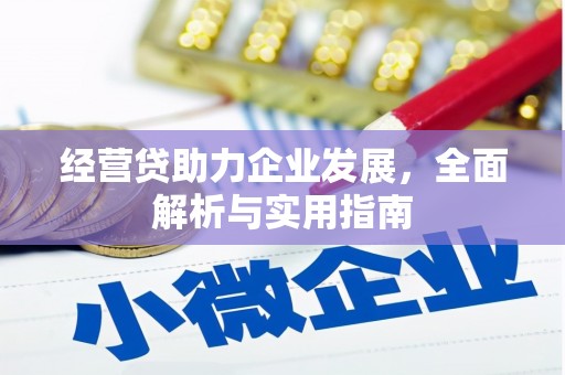 泰山经营贷助力企业发展，全面解析与实用指南
