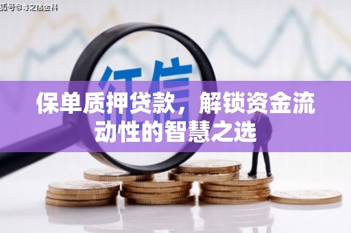 泰山保单质押贷款，解锁资金流动性的智慧之选