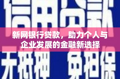 泰山新网银行贷款，助力个人与企业发展的金融新选择