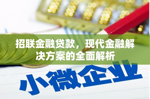 泰山招联金融贷款，现代金融解决方案的全面解析