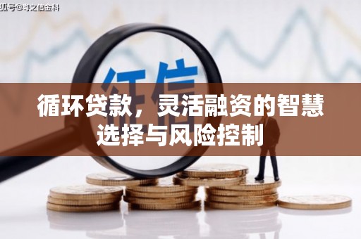 泰山循环贷款，灵活融资的智慧选择与风险控制