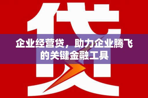 泰山企业经营贷，助力企业腾飞的关键金融工具