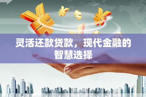 泰山灵活还款贷款，现代金融的智慧选择