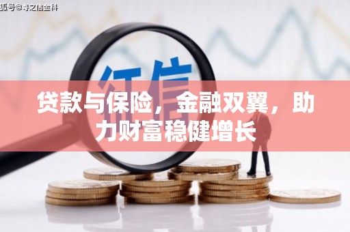 泰山贷款与保险，金融双翼，助力财富稳健增长