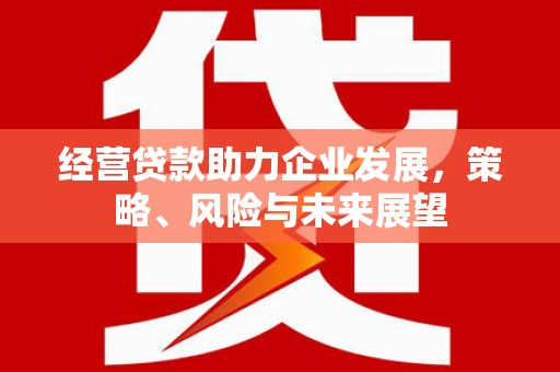 泰山经营贷款助力企业发展，策略、风险与未来展望