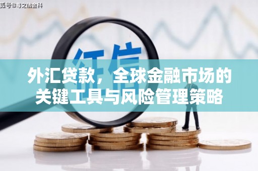 泰山外汇贷款，全球金融市场的关键工具与风险管理策略