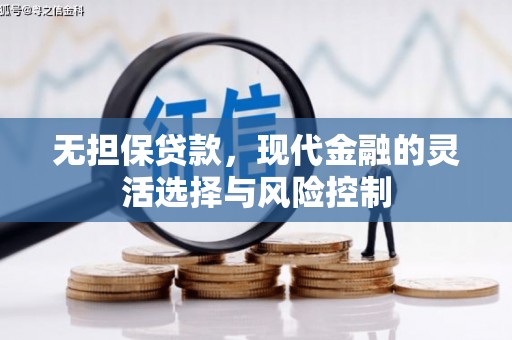 泰山无担保贷款，现代金融的灵活选择与风险控制