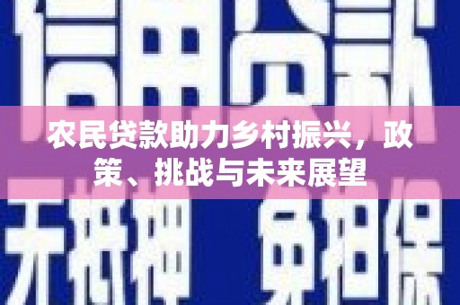泰山农民贷款助力乡村振兴，政策、挑战与未来展望