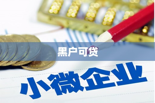 泰山黑户可贷