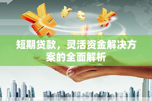 泰山短期贷款，灵活资金解决方案的全面解析