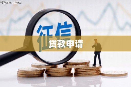 泰山贷款申请
