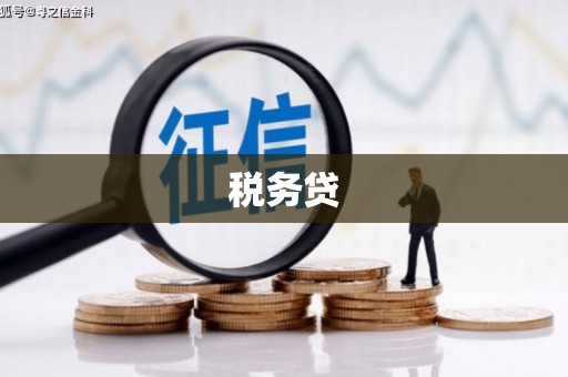 泰山税务贷