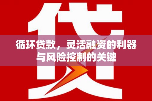 泰山循环贷款，灵活融资的利器与风险控制的关键