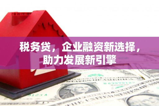 泰山税务贷，企业融资新选择，助力发展新引擎
