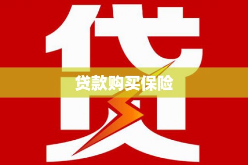 泰山贷款购买保险