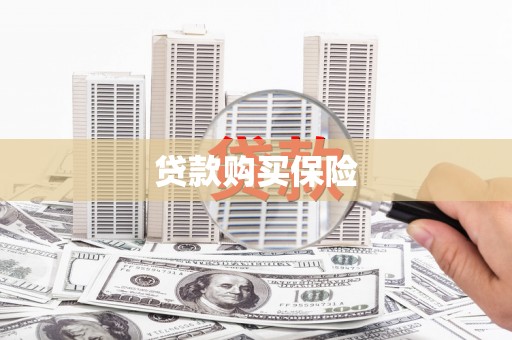 泰山贷款购买保险