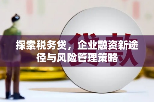 泰山探索税务贷，企业融资新途径与风险管理策略