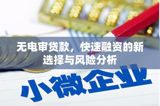 泰山无电审贷款，快速融资的新选择与风险分析