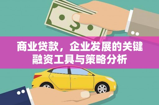 泰山商业贷款，企业发展的关键融资工具与策略分析
