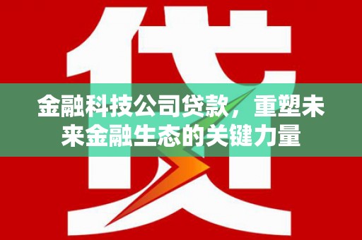 泰山金融科技公司贷款，重塑未来金融生态的关键力量