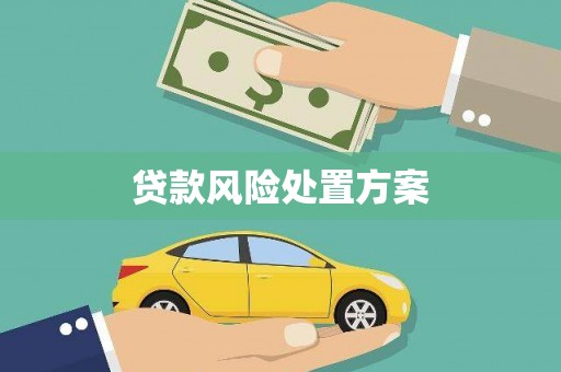 泰山贷款风险处置方案