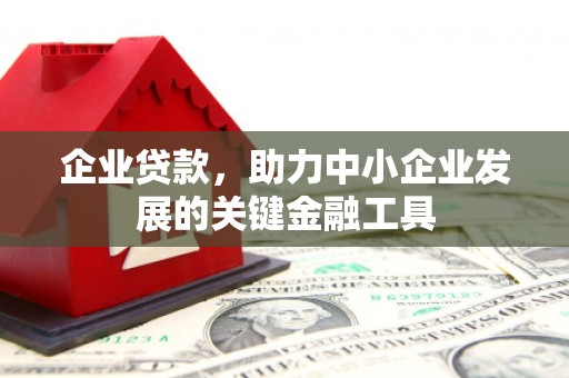 泰山企业贷款，助力中小企业发展的关键金融工具