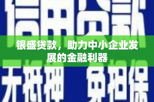 泰山银盛贷款，助力中小企业发展的金融利器