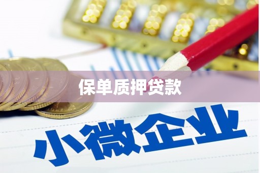 泰山保单质押贷款