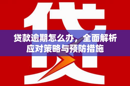 泰山贷款逾期怎么办，全面解析应对策略与预防措施