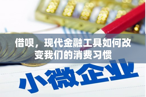 泰山借呗，现代金融工具如何改变我们的消费习惯