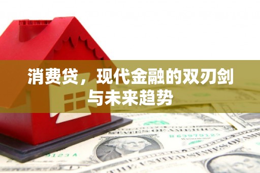 泰山消费贷，现代金融的双刃剑与未来趋势