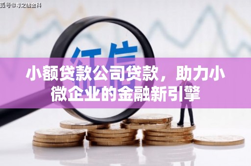 泰山小额贷款公司贷款，助力小微企业的金融新引擎