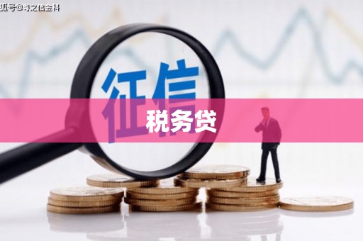 泰山税务贷
