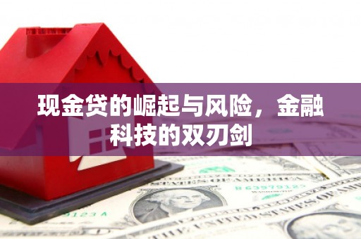 泰山现金贷的崛起与风险，金融科技的双刃剑