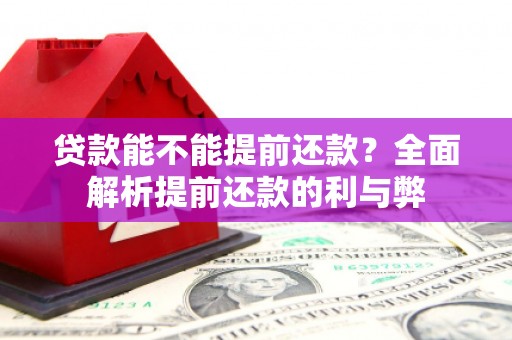 泰山贷款能不能提前还款？全面解析提前还款的利与弊