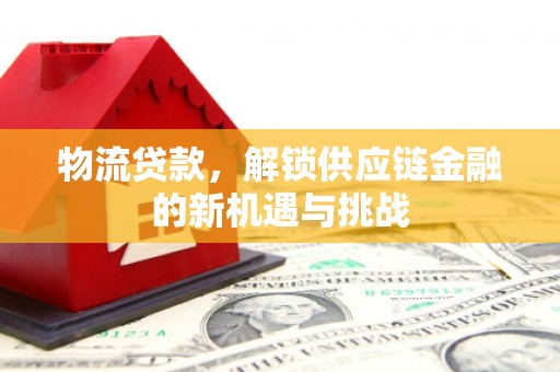 泰山物流贷款，解锁供应链金融的新机遇与挑战