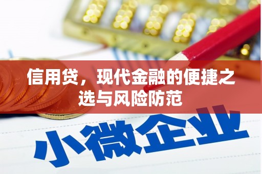 泰山信用贷，现代金融的便捷之选与风险防范