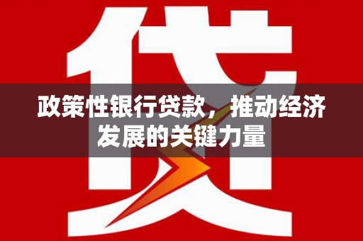 泰山政策性银行贷款，推动经济发展的关键力量