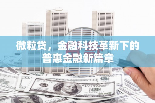 泰山微粒贷，金融科技革新下的普惠金融新篇章