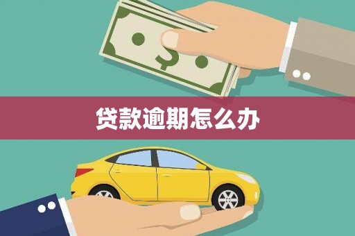 泰山贷款逾期怎么办