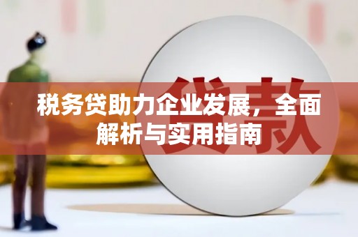 泰山税务贷助力企业发展，全面解析与实用指南
