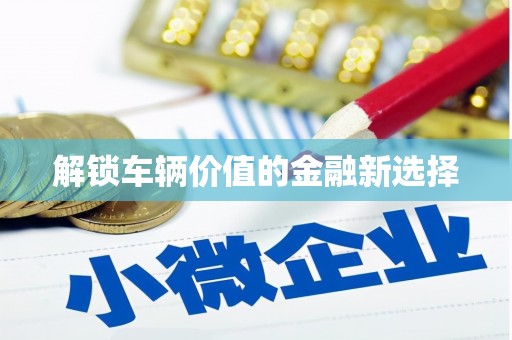 泰山解锁车辆价值的金融新选择