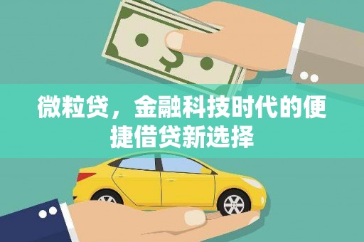 泰山微粒贷，金融科技时代的便捷借贷新选择