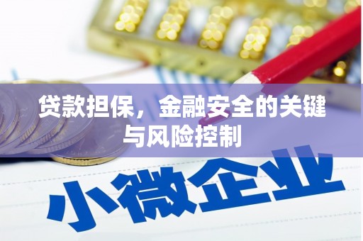 泰山贷款担保，金融安全的关键与风险控制